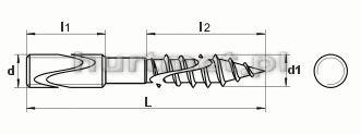 DWUGWINT M6X100 A2                              